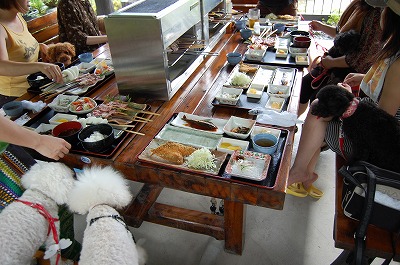 鮎定食と飛騨牛定食