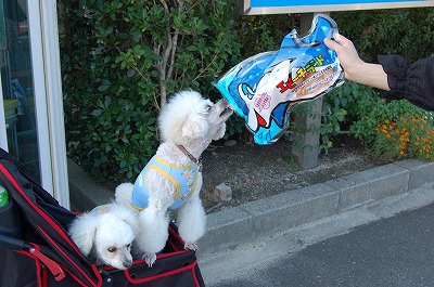 エビーチランドとフミナオ