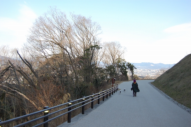 ふるさと公園