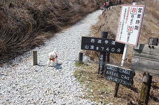 伊吹山登る