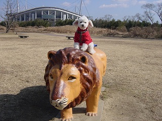 ライオンとフミ