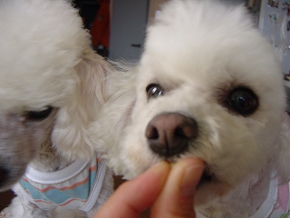 フミヤ・ドドドアップ１