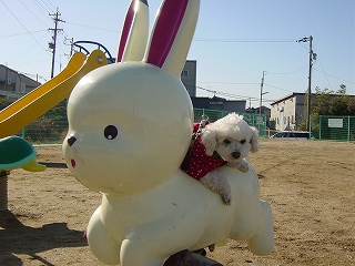 うさぎとフミヤ