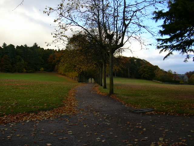 クルーニーへの道