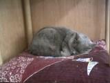 PICT0033.JPG