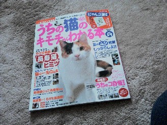 ７月１２日の画像２ 005.JPG