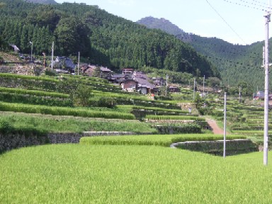 岩座神夏