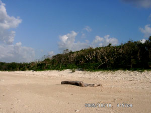 ホテル予定地２