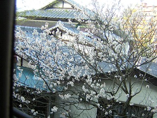 DSCN25330003.jpg