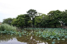 rakurai2