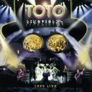 toto25