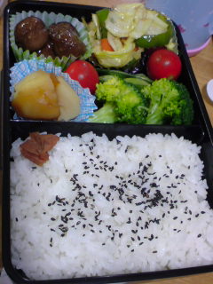 20110626お弁当