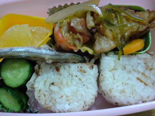 20100528お弁当