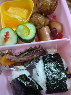 20100524お弁当