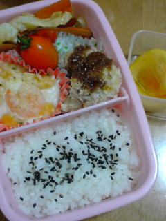 20101116お弁当