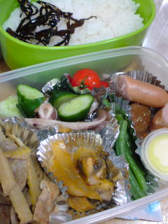 20100525大人弁当