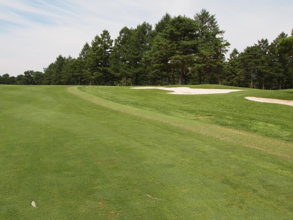 16-2  14番フェアウエイへ