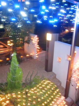 2006 室内リビングより見たら