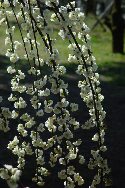 2006Spring_03