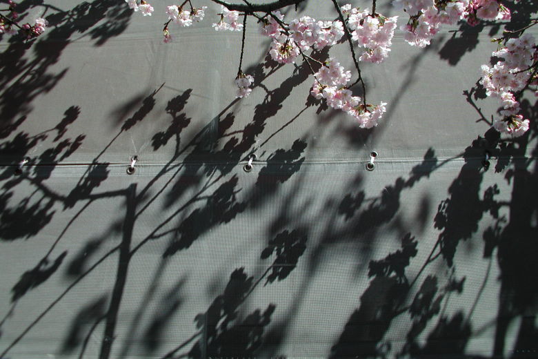 2006Spring_12