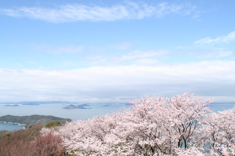 紫雲出山うらら