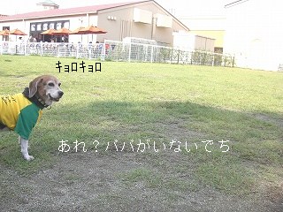 だれもいないでち