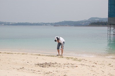 貝殻拾い