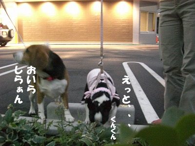 なんのことですか？