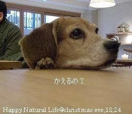 かえるの？