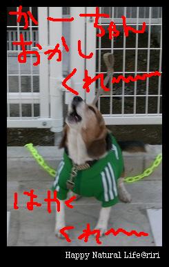 くれぇ