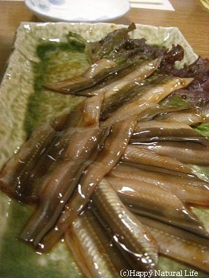 anago