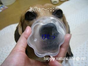 ないの？