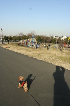 公園