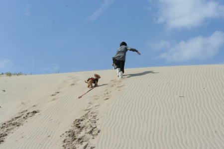 白浜海岸