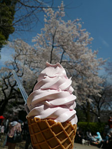 上野公園桜ソフトクリーム