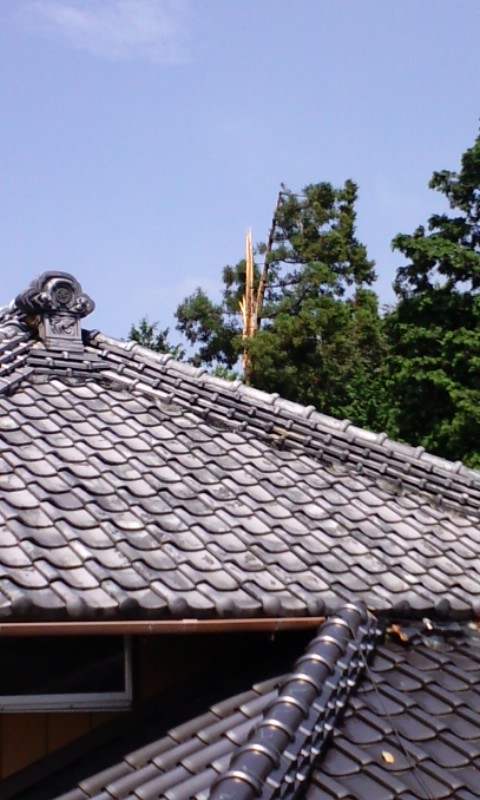 100726_1013~01.jpg