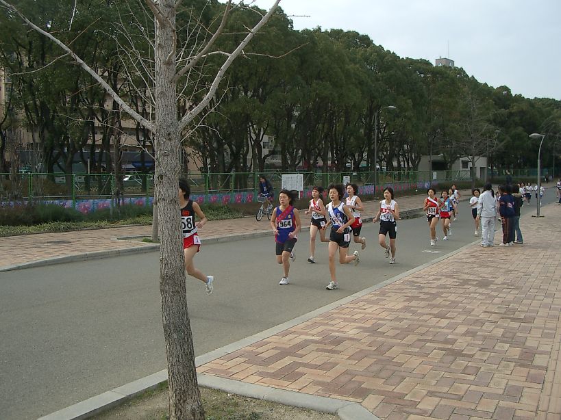 t_070120 ハーベスト 003.jpg