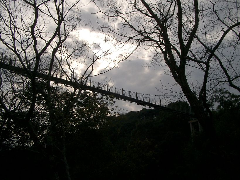 t_070120 ハーベスト 009.jpg