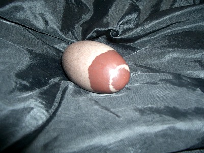 シバリンガム１