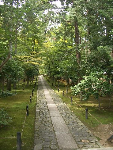 t_007 7月 025.jpg