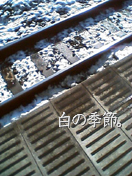 白の季節。.jpg