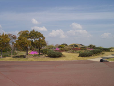 2008・4・5・吉田公園・1