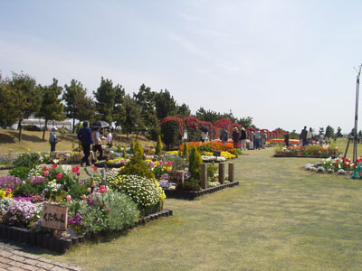 2008・4・5・吉田公園・2
