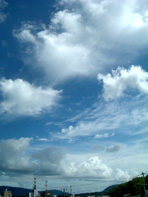 20060902-1010.jpg
