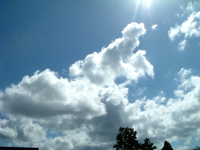 20060902-1422.jpg