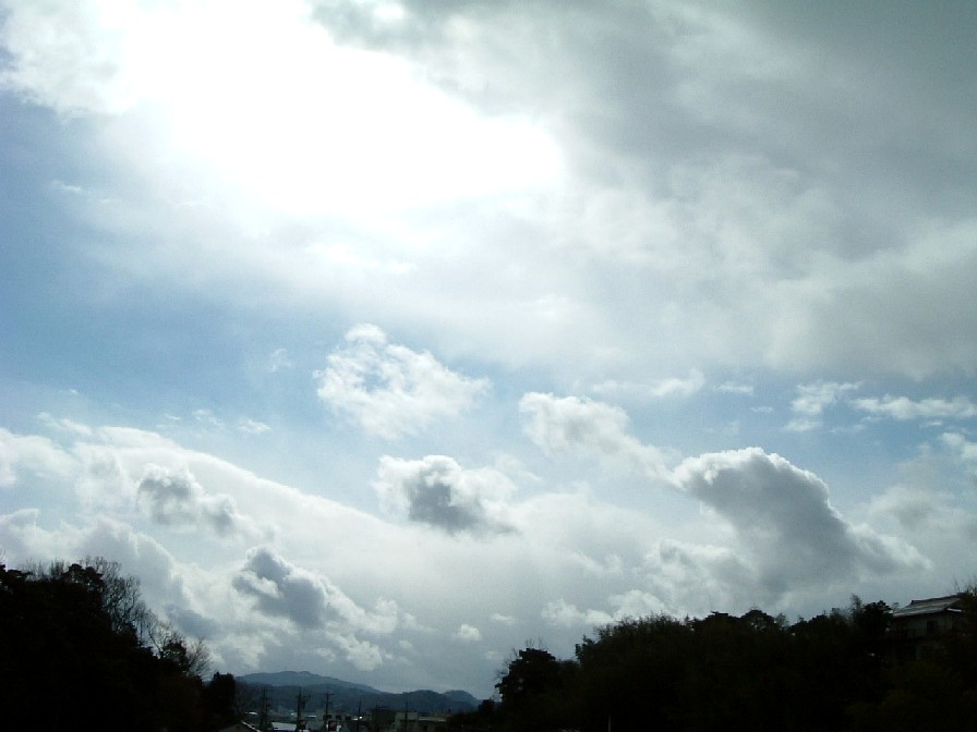 20060205-1245.jpg