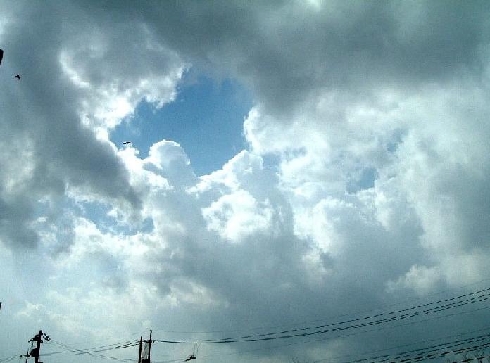 20060207-1254.jpg