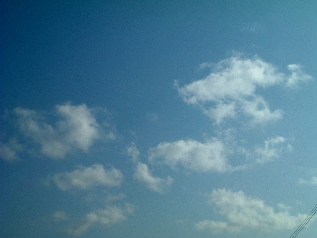 20060406-0820.jpg