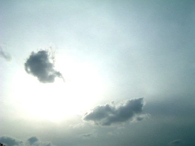 20060312-1616.jpg