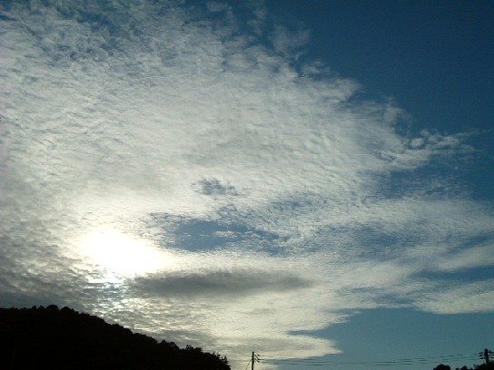 20060714-1814.jpg